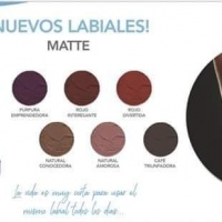 Labiales Matte